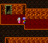 Defenders of Oasis screenshot 3 for Sega Game Gear